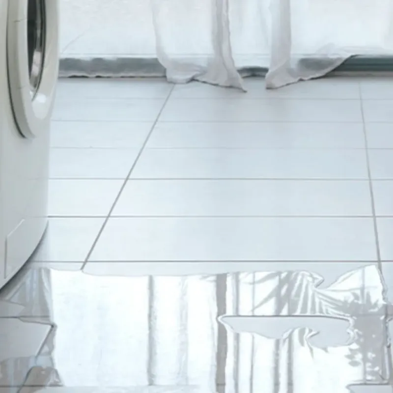 Appliance Leak Cleanup in Burbank, WA