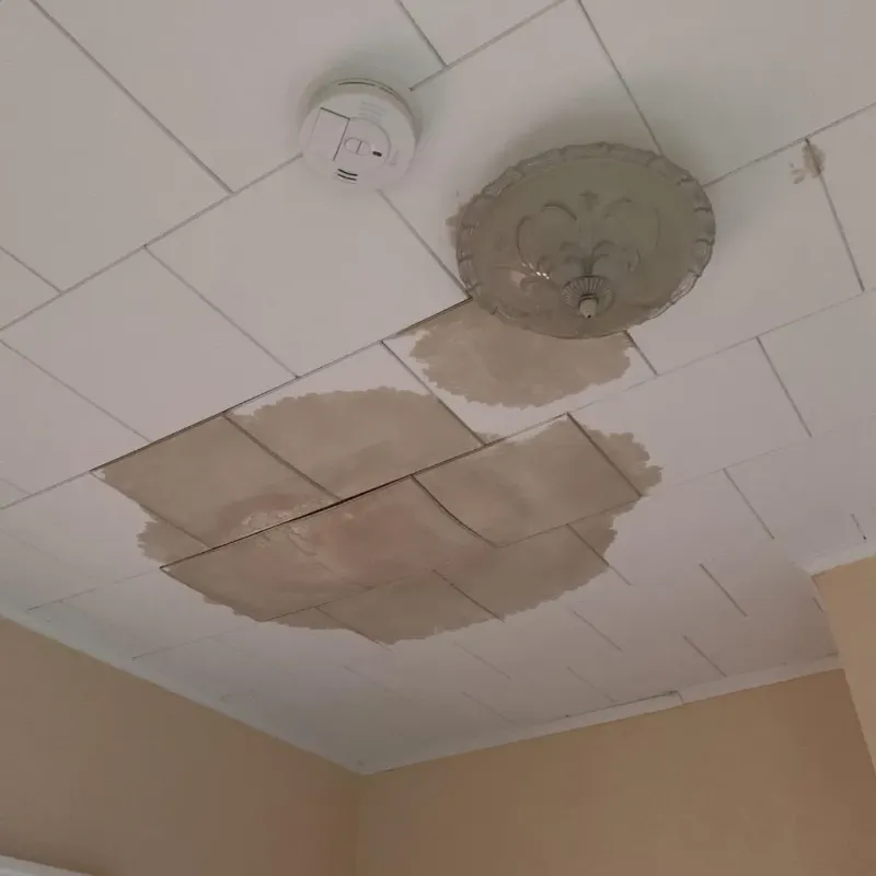 Ceiling Water Damage Repair in Burbank, WA
