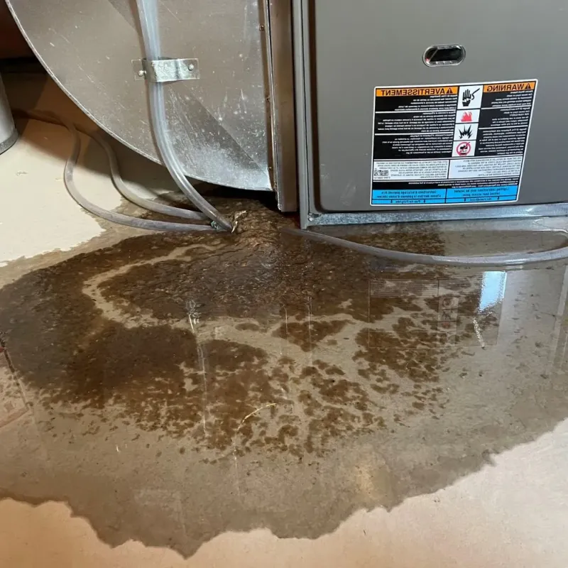 Pipe Burst and Leak Restoration in Burbank, WA