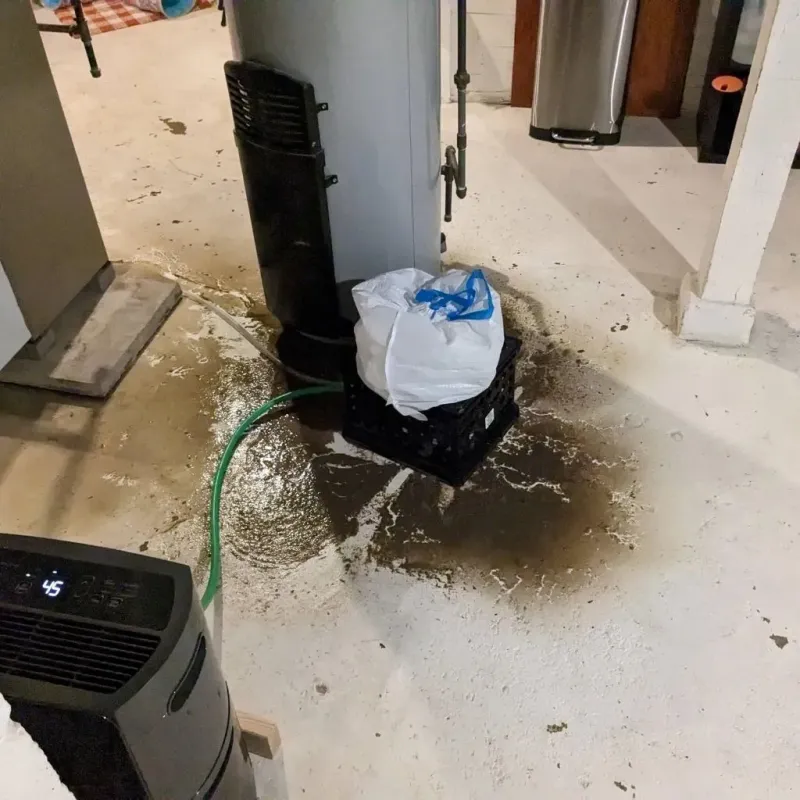 Sewage Backup Cleanup Service in Burbank, WA